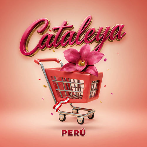 Mi tienda